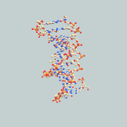 DNA Stick and Ball Molecular Model
