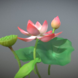 Lotus