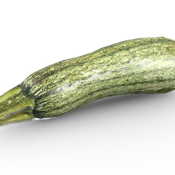 Zucchini (Game Ready  2K PBR)