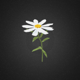 Margarita flower