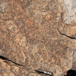 Rock art figure. Aripe, Tenerife
