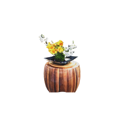 Yellow and white flowers