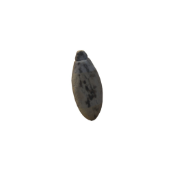 Artifact 2 - Fishing Weight - Sanford Museum