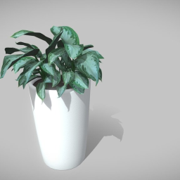 Tall Potted House Plant