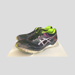 Old Pair of Running Shoes