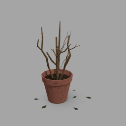 Dead plant