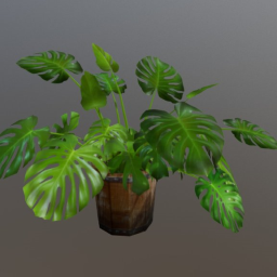 houseplant