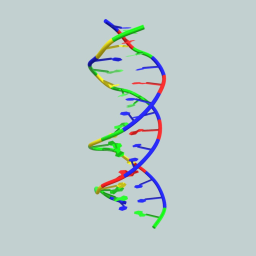 16-base-pair B-DNA Molecular Structure