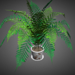 Plant (animated)