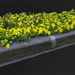 Gardening. Park. Landscape. 7 a