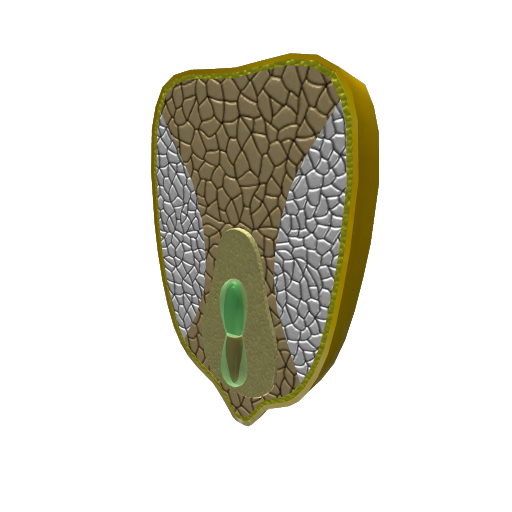 Monocot Seed