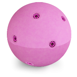 Nucleus