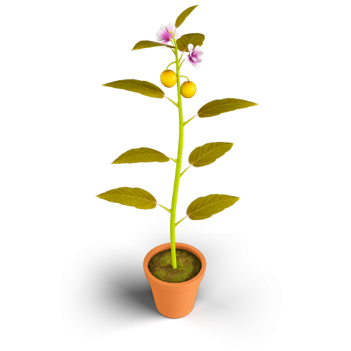 Parts of a Stem
