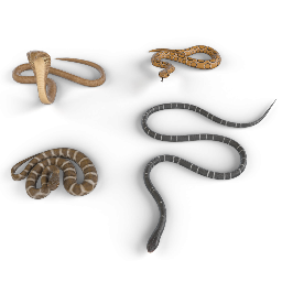 Snakes