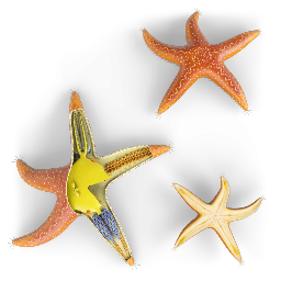 Starfish