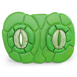 Stomata