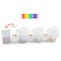 Reaction of NaOH and Carbon dioxide