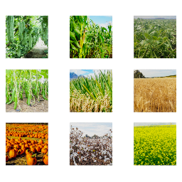Cropping Seasons of India