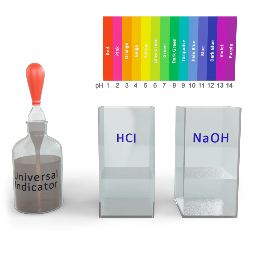 Neutralisation Reaction