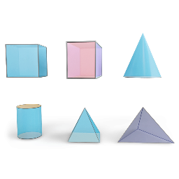 Nets of 3D Shapes