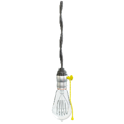 Hanging Light Bulb