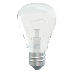Incandescent Light Bulb