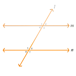 Parallel Lines and Transversal