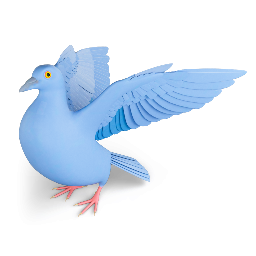 Bird Anatomy