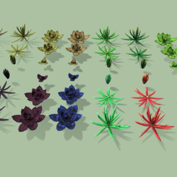 Aloe Plant Set