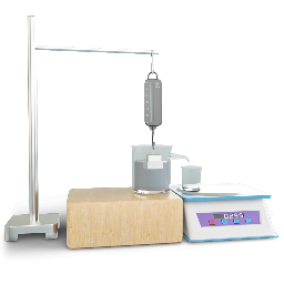 Archimedes Principle