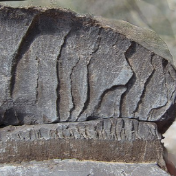 Geology - Natural  Induced Fractures
