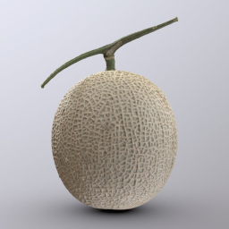 Earl&#39;s Favourite Melon