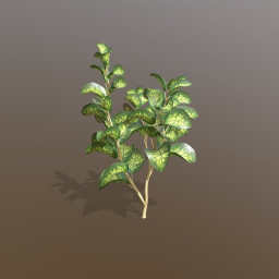 Tropical Plant 2