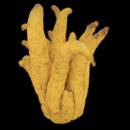 Buddha Hand