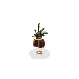 Exotic flower bouquet