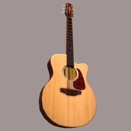 Acoustic Guitar - steel string