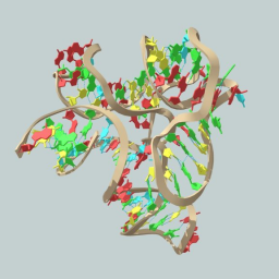Riboswitch mRNA Molecular Structure