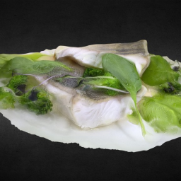 Pike perch