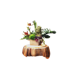 Harmonious flower arrangement