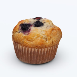 Blueberry Muffin