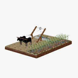 Traditional Irrigation Method - Moat