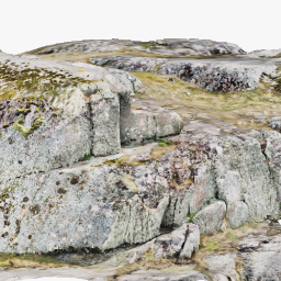 Scanned Rock