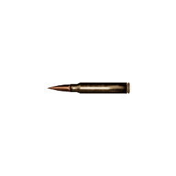 Sniper Bullet