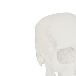 visible_interactive_human__exploding_skull