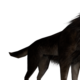 wolf_with_animations