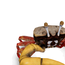 dancing crab