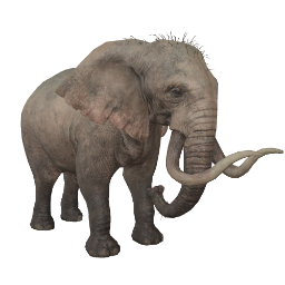 elephant_animation_idle