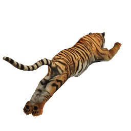 tiger with animations
