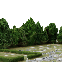 Cemetery