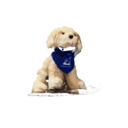 Course Dog